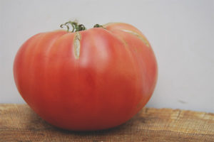 Tomato King large