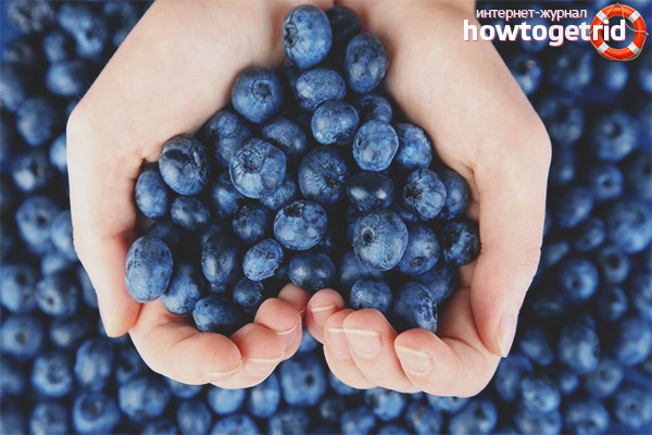 Die Verwendung von Blaubeeren für medizinische Zwecke