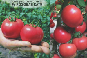 Tomato Pink Katya F1