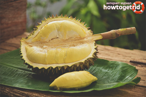 Pourquoi Durian est utile
