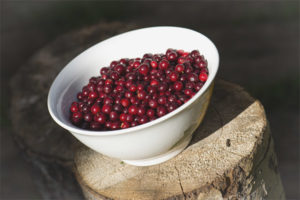 What is useful lingonberry