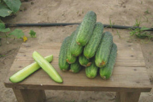 Cucumber Ajax F1