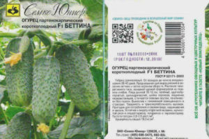 Bettina Cucumber F1