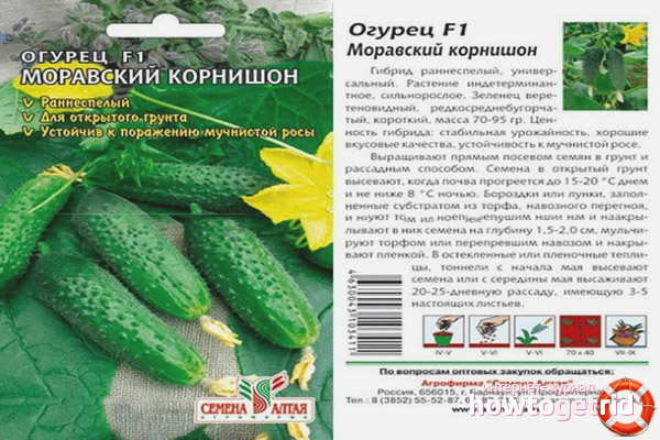 Gurke Mährische Gurke F1