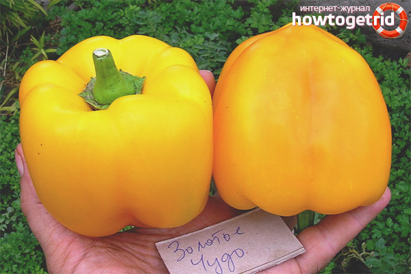 Golden Wonder Pepper