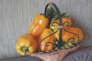 Pepper Orange Lion F1