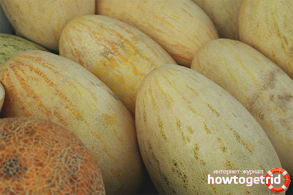 Règles de sélection des melons